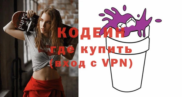 индика Горняк