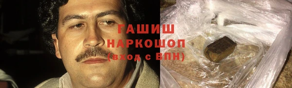 индика Горняк