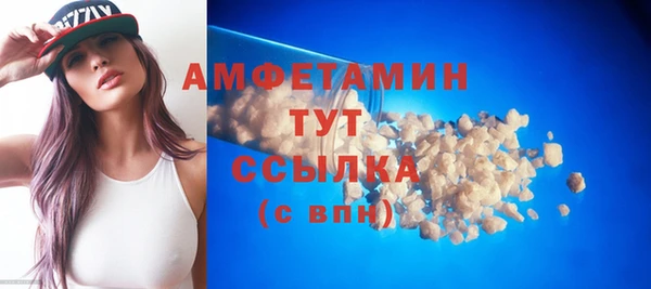 индика Горняк