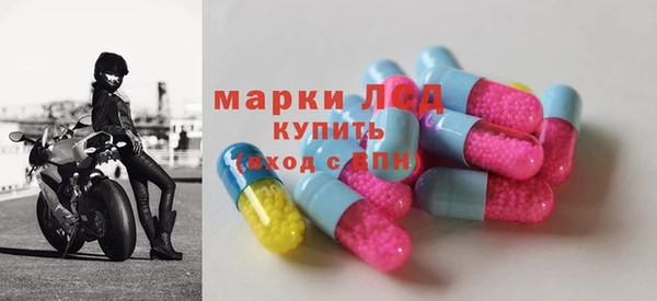 индика Горняк