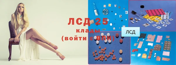 индика Горняк