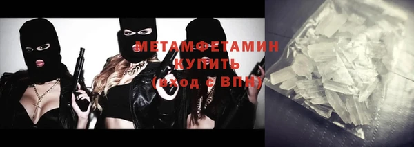 индика Горняк
