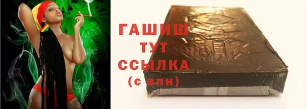 индика Горняк