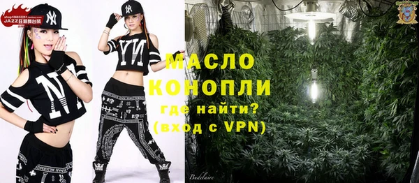 индика Горняк
