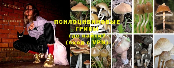 MDMA Premium VHQ Горнозаводск