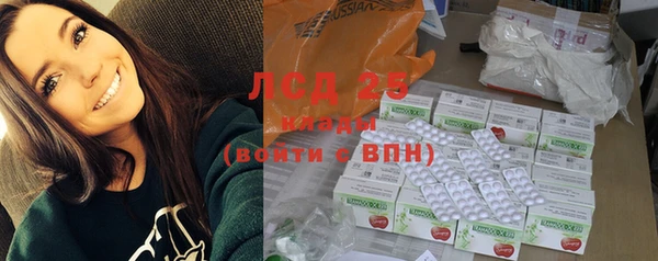 индика Горняк