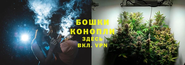 индика Горняк