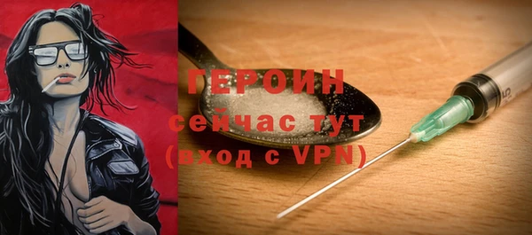 индика Горняк