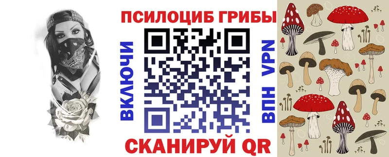 Псилоцибиновые грибы Psilocybe  Купить закладки  Новосиль 